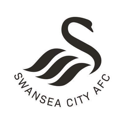 Swansea City Academy Profile
