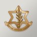Isreal Defense Forces. ᴾᵃʳᵒᵈʸ (@IDFComms) Twitter profile photo