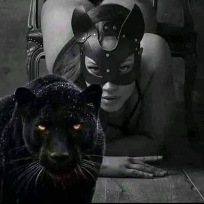 panther_slave Profile Picture