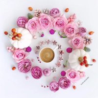 بنت محمد (@ftoon_alemarat) 's Twitter Profile