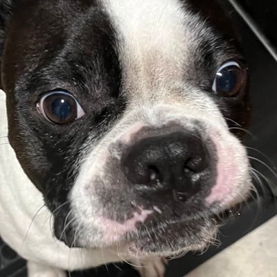 Stanton_G's profile picture. hibernating until platform improves