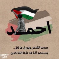 ⏳⚔️🛡️🇵🇸🛡️⚔️⏳ Ahmed (@ahmed_hamdy2040) 's Twitter Profile