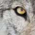 Leonardo Perez (@victorl70086973) Twitter profile photo Leonardo Perez (@victorl70086973) Twitter profile photo