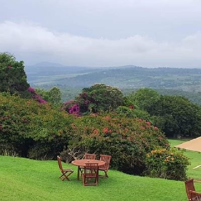 MohaProf3's profile picture. You will never do anything in the world without courage. It is the greatest quality of the mind next to honor.