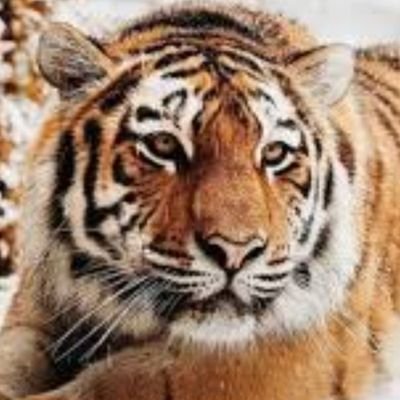 albea2001's profile picture. 