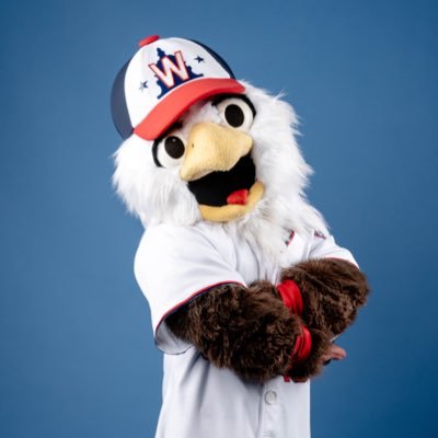 🦅 Bald eagle, great hair. 💍 2019 World Series Champion ⚾️ @Nationals