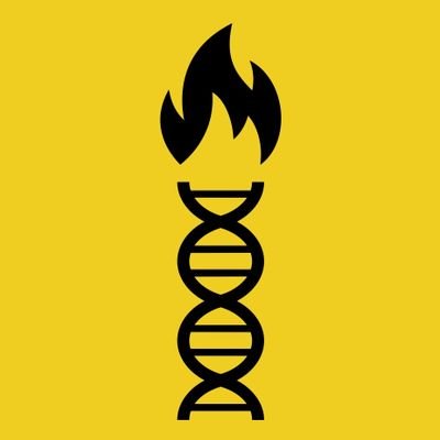 krobkrua__sound's profile picture. (Torey Striffolino)
Music Producer/Sound Designer