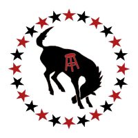 Barstool Broncos (@barstoolbroncs) 's Twitter Profile