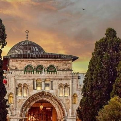 جلس على ركبتيه يواسي طفلًا مات عصفوره ﷺ