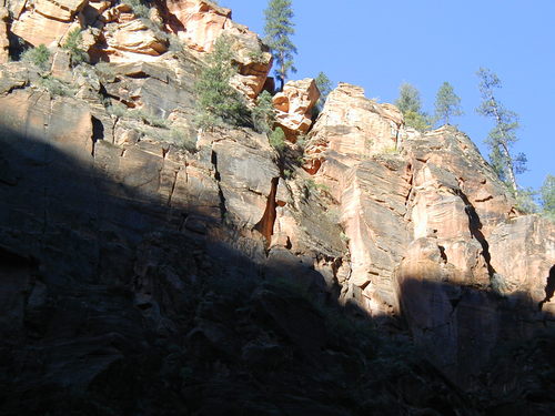 amoah2's profile picture. 