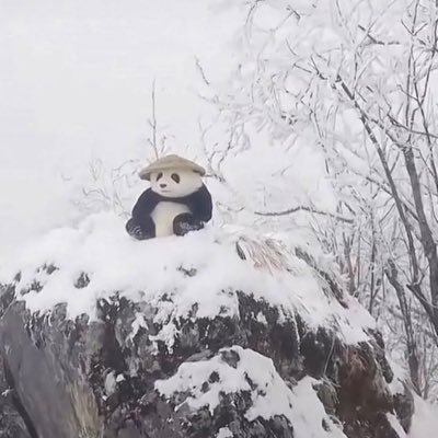 saycheeseAn0n's profile picture. 