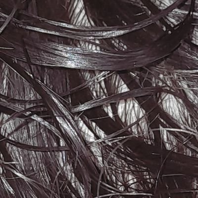 CooperBrow41028's profile picture. 