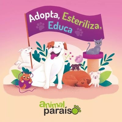 Somos una agrupación que fomenta la adopción, organizamos jornadas en el Mall @marinaarauco de Viña del Mar y educamos en Tenencia Responsable. #Adopta