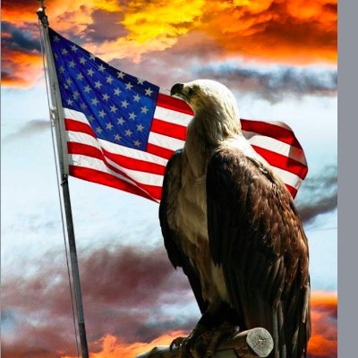 Patriot Party Conservative President Trump Supporter #1A #2A #MAGA USAF Retired Educated Back the Blue! #VGK Formerly @KingDrue17