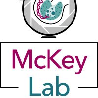 McKey Lab (@mckey_lab) 's Twitter Profile Photo McKey Lab (@mckey_lab) 's Twitter Profile Photo