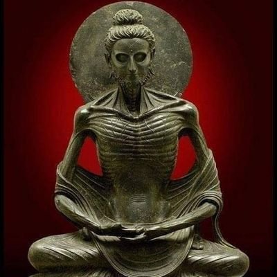 Khayaam1's profile picture. 