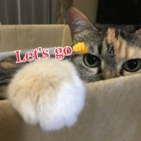 ころ (@shiyu_72) 's Twitter Profile