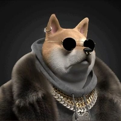 bawaenoch167684's profile picture. UXJ54JDG
UXJ54JDG