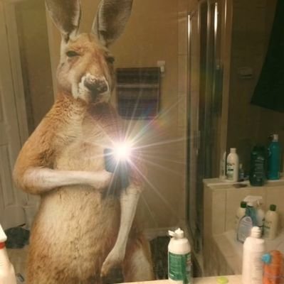 xfernandoJR's profile picture. ..