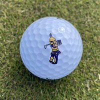 UNCG Men's Golf(@UNCGMGolf) 's Twitter Profile Photo