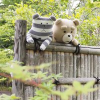 とも☺︎ (@tm__7744) 's Twitter Profile Photo