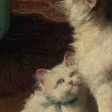 sxvgillim's profile picture. 