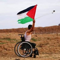 Paola 🇵🇸(@paoladommenica) 's Twitter Profile Photo