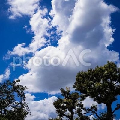 はじめまして 病気➡️手術後アクアリウムに出会い初心者ながら楽しんでいます 美しいもの思ったことツイートします 永久ストーマです身体障害者4級精神障害者2級です 全身性エリテマトーデスという難病になってしまいました 次から次えと💦令和4年7月8日→ネフローゼ症候群 骨盤嚢腫 ループス腎炎闘病中