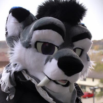 I’m a Saber Tooth Tiger / Husky Hybrid. I like Science Fiction, Fantasy, PS5 gaming, and being a loveable space rouge. he/him 36. Iowa Furry. Married. Gay AF.