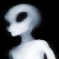 we (@we_osrs) 's Twitter Profile Photo we (@we_osrs) 's Twitter Profile Photo