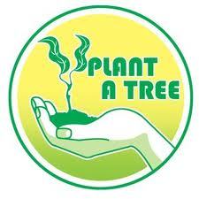 rachel_nava's profile picture. 