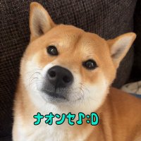 ナオ♪:D 🐍 (@nao26sz) 's Twitter Profile Photo ナオ♪:D 🐍 (@nao26sz) 's Twitter Profile Photo