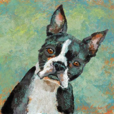 s_0_0_z's profile picture. Making digital art the 'old-fashioned' way, I support artists who create without AI, while respecting all creative paths. #nonAIart #SupportHumanArt