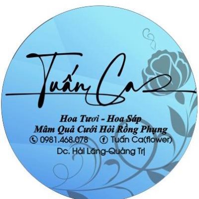 Cửa hàng hoa tươi, tiệm hoa tươi ở huyện Hải Lăng tỉnh Quảng Trị,hoa chia buồn, vòng hoa tang, hoa viếng, hoa chúc mừng ở Hải Lăng
ĐT:0981468078