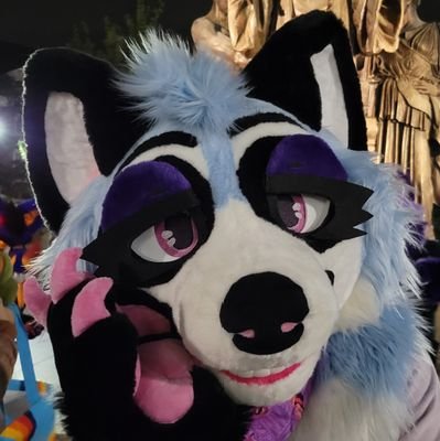 25丨Any Pronouns丨🏳️‍🌈丨💙@DalekEric💙丨UIUC Alum @IlliniFurs | Bass Player

Raccoon for your sound and lights 🎶🦝🎶