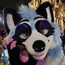 TonicIsBlue's profile picture. 26丨Any Pronouns丨🏳️‍🌈丨💙@DalekEric💙丨UIUC Alum @IlliniFurs | Bass Player

Raccoon for your sound and lights 🎶🦝🎶