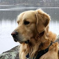 Mickers (@mickers123) 's Twitter Profile