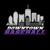 Emerson Baseball (@ecbaseballlions) 's Twitter Profile