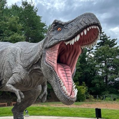 kiyoton57's profile picture. おっちゃん