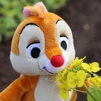 unaちゃむ🐿🐻 (@una96747540) 's Twitter Profile Photo unaちゃむ🐿🐻 (@una96747540) 's Twitter Profile Photo