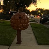 klls (@kllsys) 's Twitter Profile