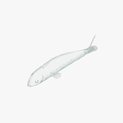 mitoumeiさんのプロフィール画像