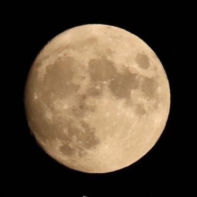 uraakapandanoh's profile picture. 暑いのも寒いのもキライ😡⚡ちょうど良いのが好き😁✨✨
☀️はリムレスtypeの👓️してオールバックでニコニコしてます☺️
🌃は愛車で都内から神奈川を徘徊😎
ついでにメンエス行く🤗
ちょっとメンズエステ依存症😰