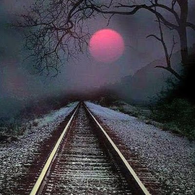 AraePathfinder's profile picture. 