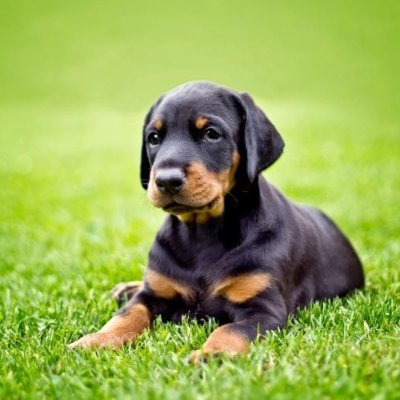 Blektruth's profile picture. Deep House madala, 420rite, Nobody,old soul, obscure, naturalist, simple is better just like variety is the spice of life.