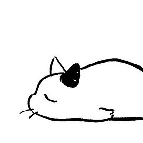 kn51052251's profile picture. 田舎で歯医者してます。
医療従事者の方、無言フォロー失礼します。