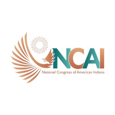 Founded in 1944, NCAI is the oldest, largest and most representative American Indian & Alaska Native organization serving the broad interests of Tribal Nations.
