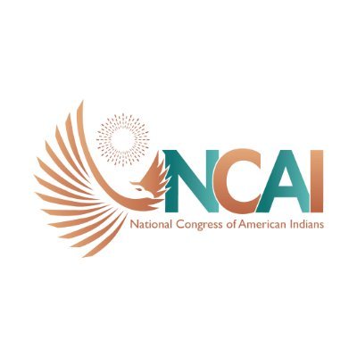 National Congress of American Indiansさんのプロフィール画像