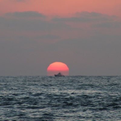 MataManz's profile picture. 