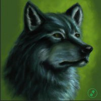 The Lone Dark Wolf (@hggalvan) 's Twitter Profile
